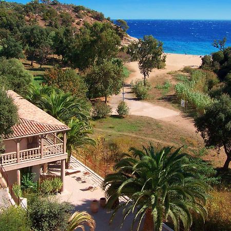 Le Clos Des Sept Palmiers Cavalaire-sur-Mer Luaran gambar
