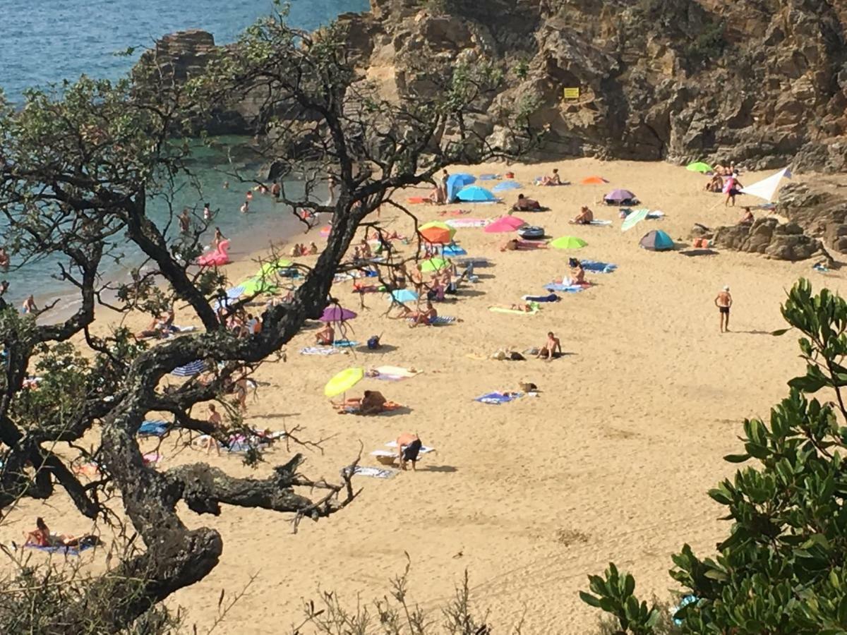 Le Clos Des Sept Palmiers Cavalaire-sur-Mer Luaran gambar