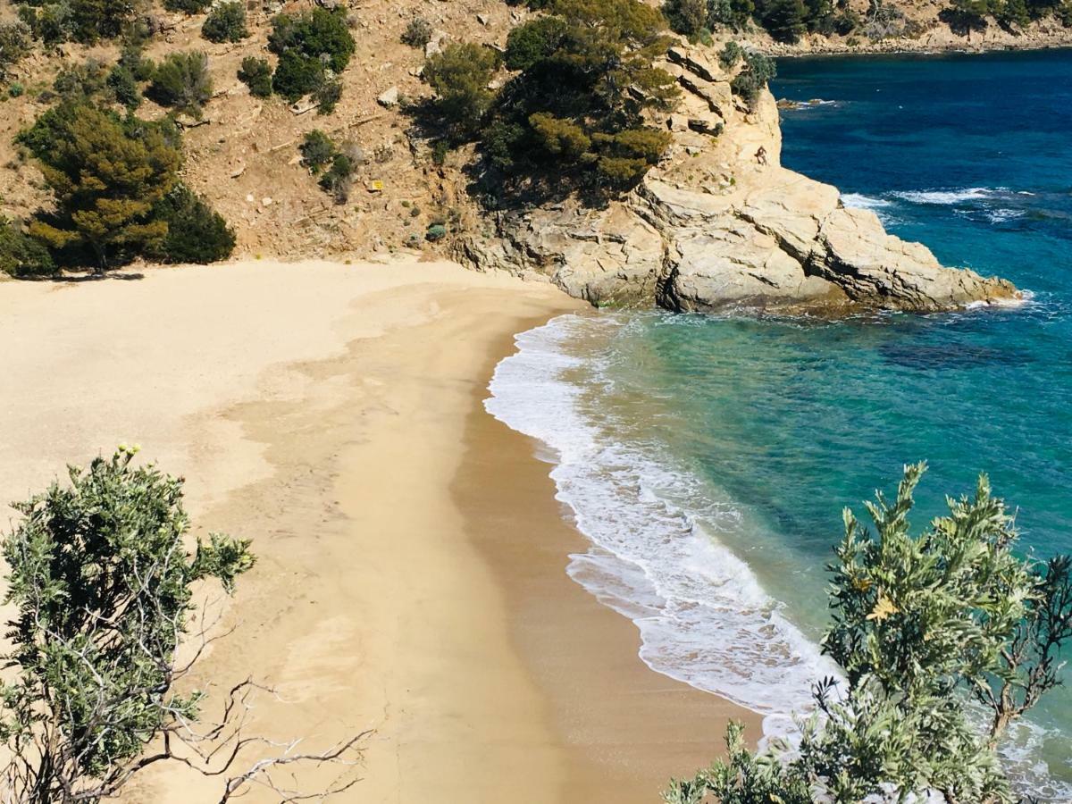 Le Clos Des Sept Palmiers Cavalaire-sur-Mer Luaran gambar
