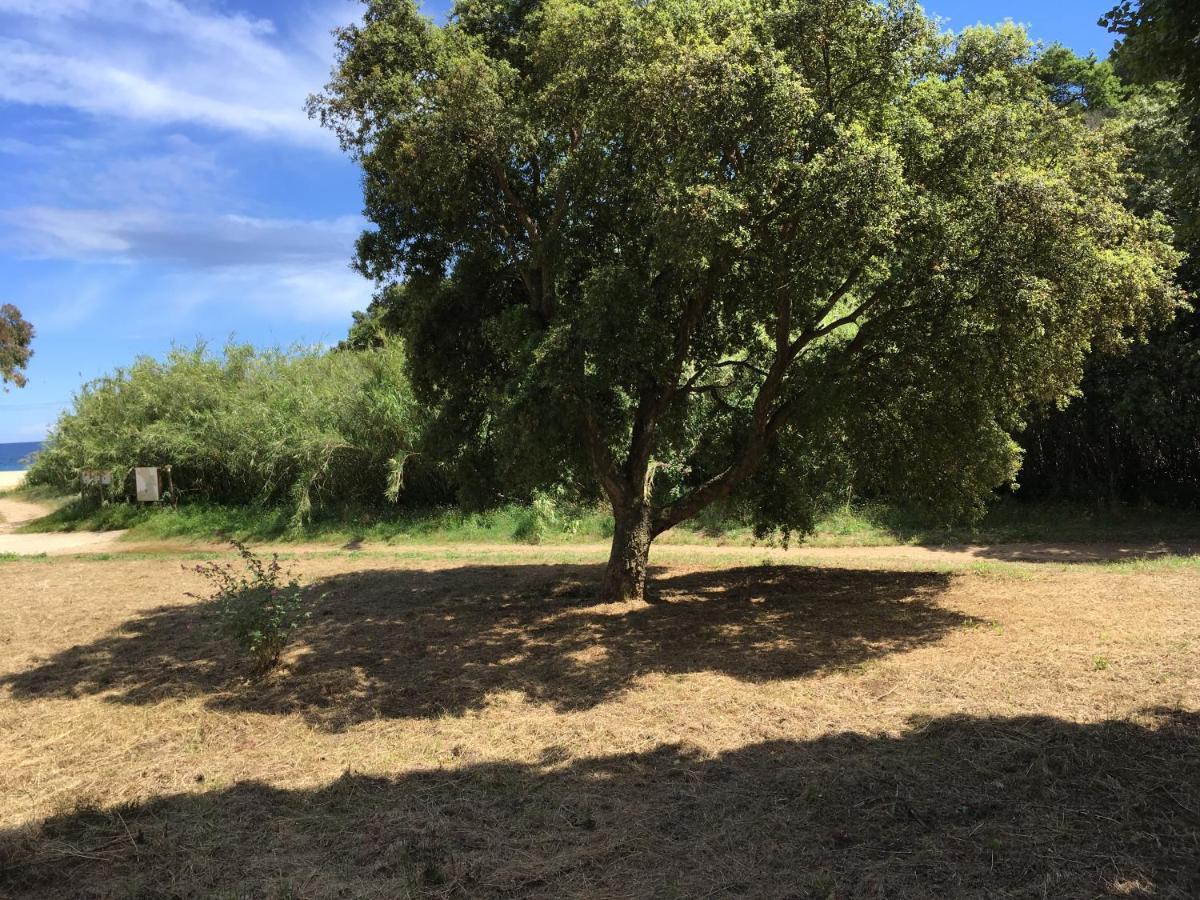 Le Clos Des Sept Palmiers Cavalaire-sur-Mer Luaran gambar