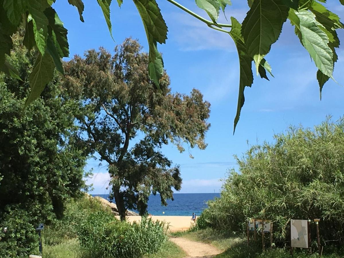 Le Clos Des Sept Palmiers Cavalaire-sur-Mer Luaran gambar